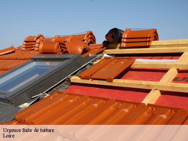 Urgence fuite de toiture Loire 