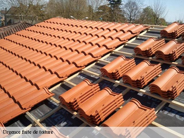 Urgence fuite de toiture Loire