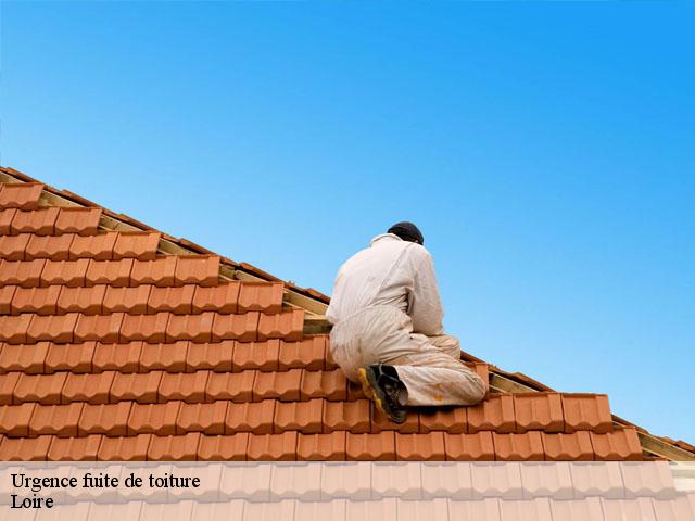 Urgence fuite de toiture Loire