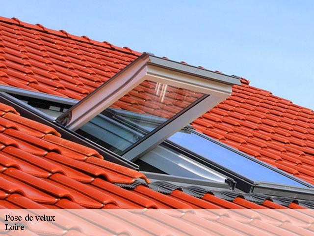 Pose de velux Loire 