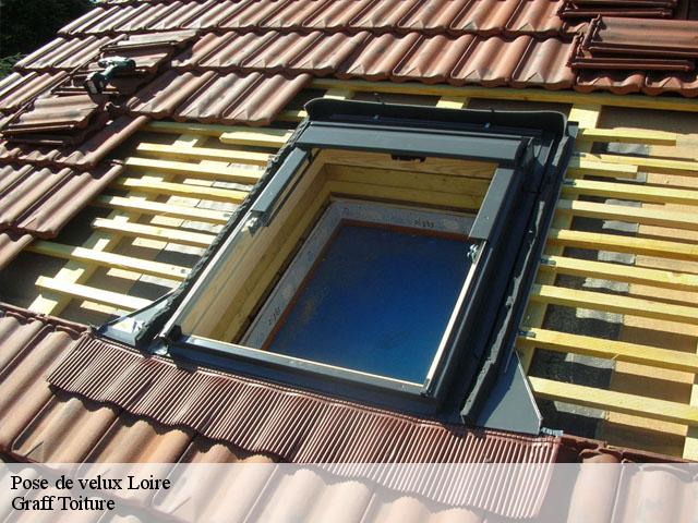 Pose de velux Loire 