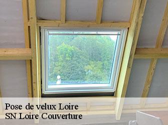 Pose de velux Loire 