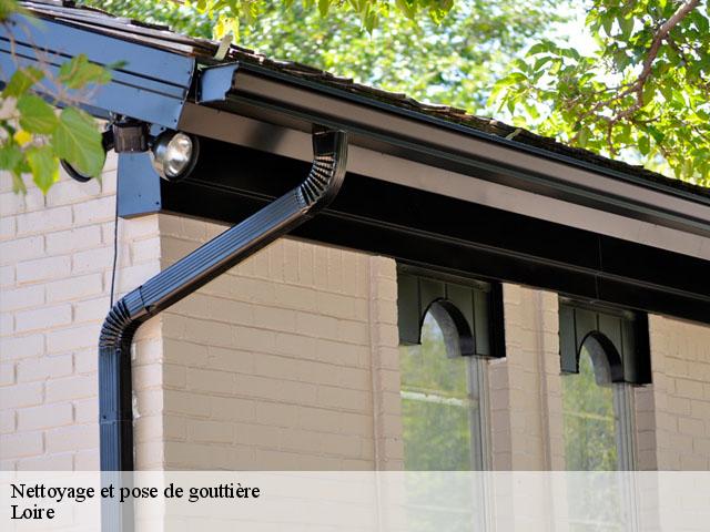 Nettoyage et pose de gouttière Loire
