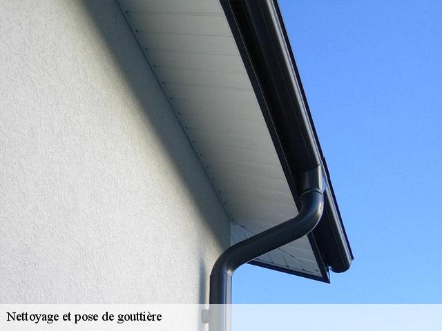 Nettoyage et pose de gouttière Loire