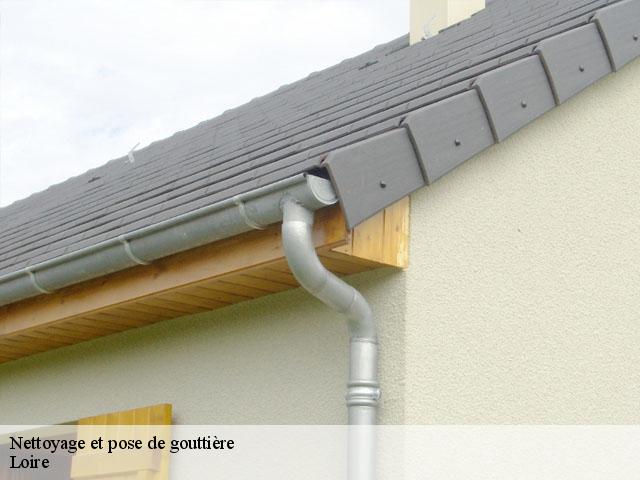 Nettoyage et pose de gouttière Loire