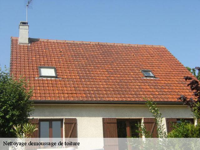 Nettoyage demoussage de toiture