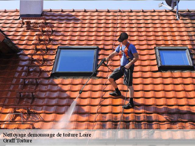Nettoyage demoussage de toiture 42 Loire Graff Toiture