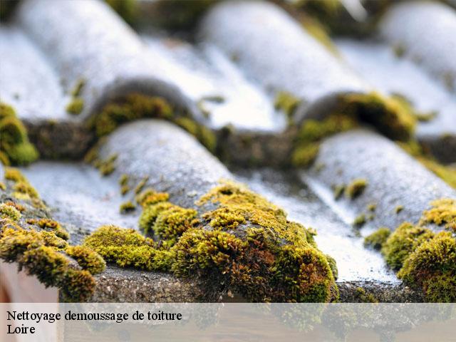 Nettoyage demoussage de toiture Loire