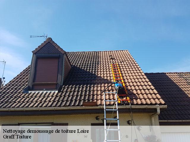 Nettoyage demoussage de toiture Loire