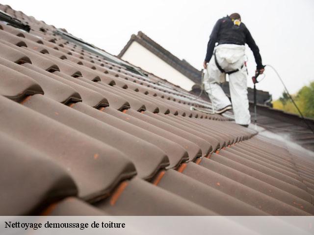Nettoyage demoussage de toiture Loire 