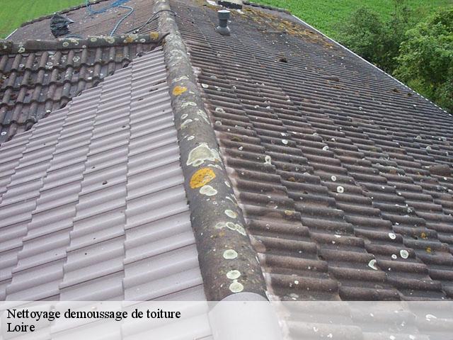 Nettoyage demoussage de toiture Loire 