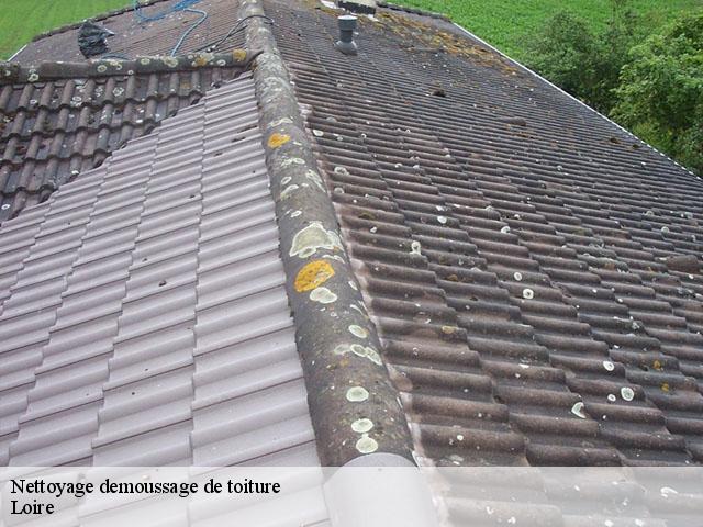Nettoyage demoussage de toiture Loire