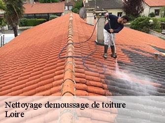 Nettoyage demoussage de toiture Loire