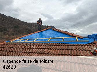 Urgence fuite de toiture 42620