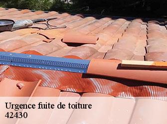 Urgence fuite de toiture 42430
