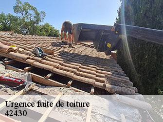 Urgence fuite de toiture