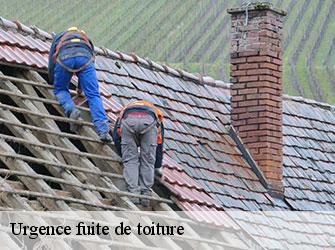 Urgence fuite de toiture 42430