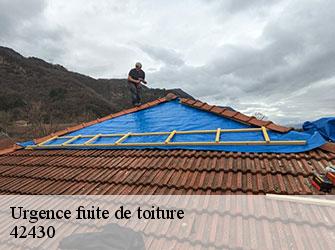 Urgence fuite de toiture 42430