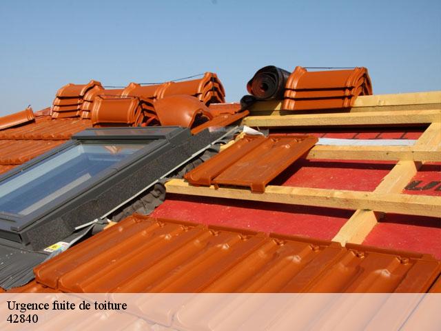 Urgence fuite de toiture 42840