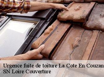 Urgence fuite de toiture  42111
