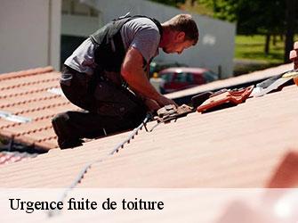 Urgence fuite de toiture