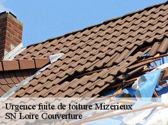 Urgence fuite de toiture