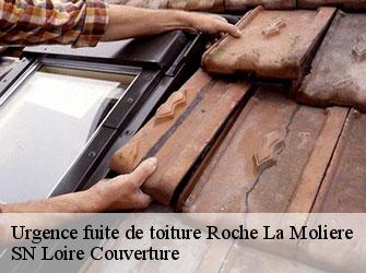 Urgence fuite de toiture  42230
