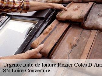Urgence fuite de toiture 42380