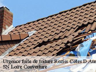 Urgence fuite de toiture