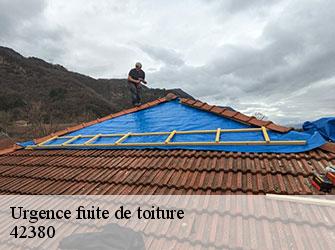 Urgence fuite de toiture 42380