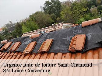 Urgence fuite de toiture  saint-chamond-42400 SN Loire Couverture 