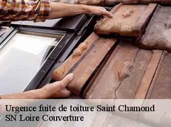 Urgence fuite de toiture  42400