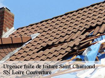 Urgence fuite de toiture