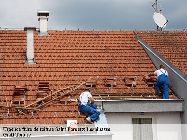 Urgence fuite de toiture 42640