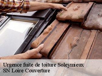 Urgence fuite de toiture  42560