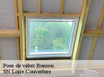 Pose de velux  42160