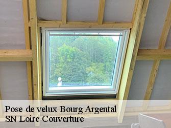 Pose de velux  42220