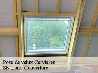 Pose de velux  42440