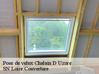 Pose de velux  42600