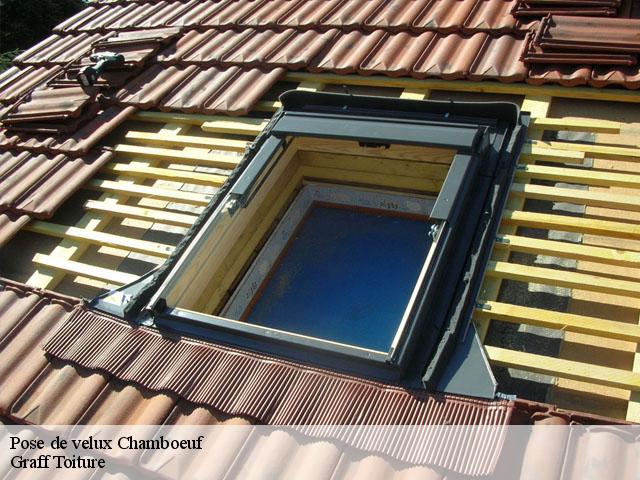 Pose de velux 42330