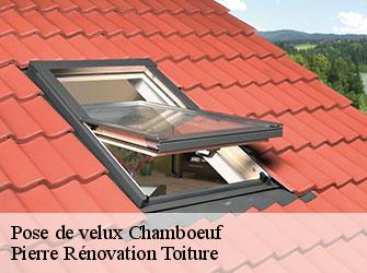 Couvreur 42 Loire  Pierre Rénovation Toiture 