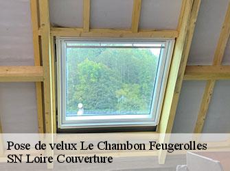 Pose de velux  42500
