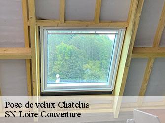 Pose de velux  42140