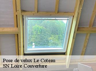 Pose de velux  42120