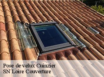 Pose de velux