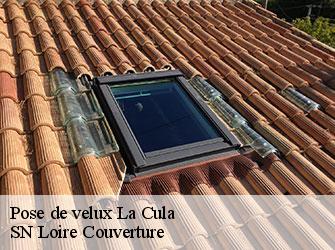 Pose de velux