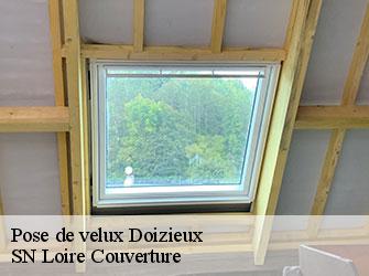 Pose de velux  42740