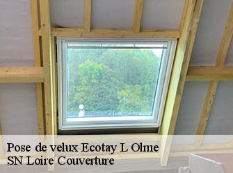 Pose de velux  42600