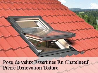 Couvreur 42 Loire  Pierre Rénovation Toiture 