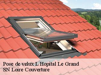 Pose de velux  l-hopital-le-grand-42210 SN Loire Couverture 
